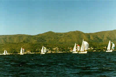 Primer Campeonato de J24 Primer Campeonato de J24